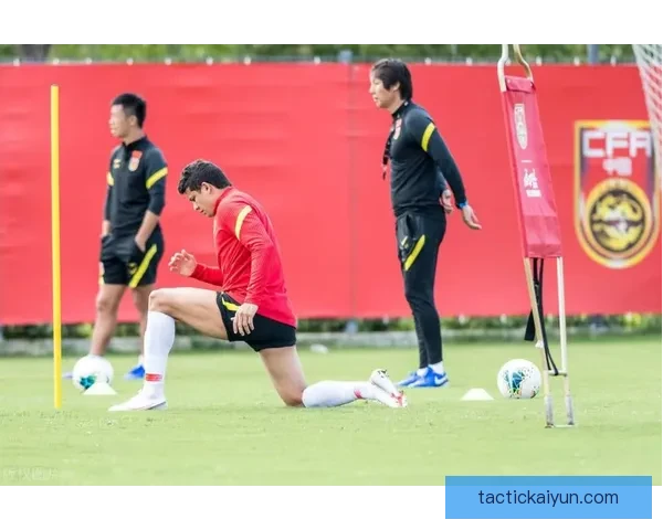 桑德兰纪录片热，引发球迷对俱乐部历史的持续关注与讨论